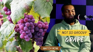 MYA Groovy Grape Hookah Review