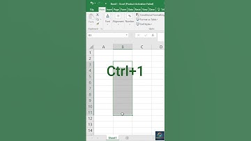 Everybody Must know about this excel Trick ||#shorts