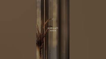 لا تحزن || تلاوة الشيخ: ماهر المعيقلي #قران_كريم #القران #اكسبلور #لايك #يارب