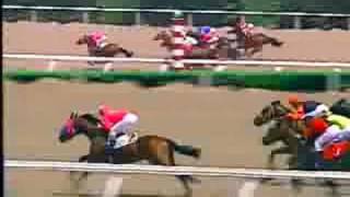 GSE-598 Super King Derby screenshot 5