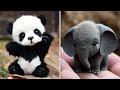 Cute baby animalss compilation  funny and cute moment of the animals 11