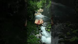 yari Badi Allah Amanu #Al Quran #quran #reels #islamic #tilawat
