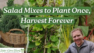 9 Delicious Salad Greens You Only Plant Once! Plant Once, Pick Forever! Part 1 9 Delicious Salad Greens You Only Plant Once! Plant Once, Pick Forever! Part 1