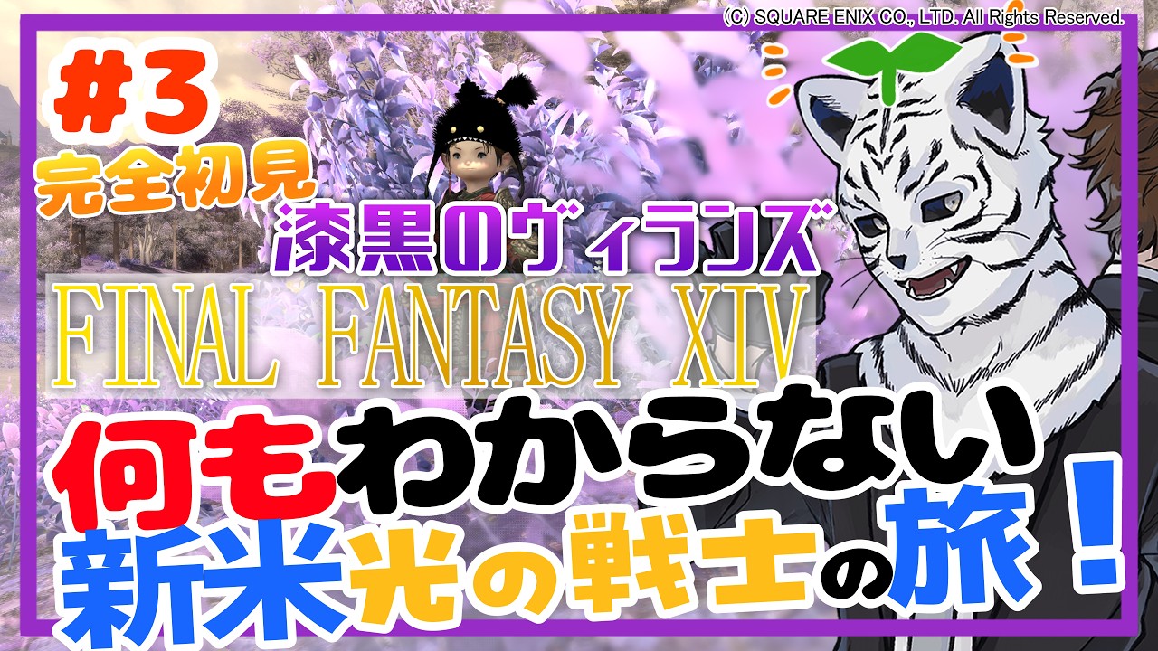 FF14 / FINAL FANTASY XIV：漆黒編：アリゼーと一緒に傷ついた気持ちを乗り越えて進んでいく日【竹林虎々：個人勢Vtuber】