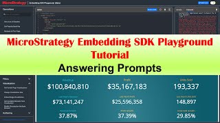 Embedding SDK Playground Tutorial - Answering Prompts Net Worth