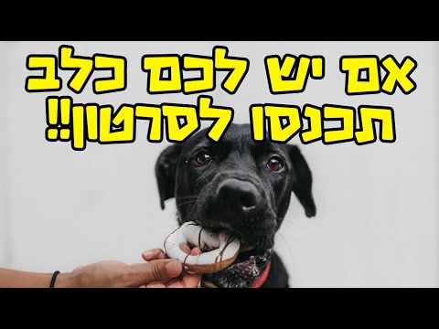 וִידֵאוֹ: האם אורז חום טוב לכלבים?