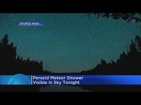 Perseid Meteor Shower