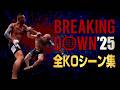 ブレイキングダウン 全KOシーン集 2025年版