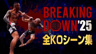ブレイキングダウン 全KOシーン集 2025年版