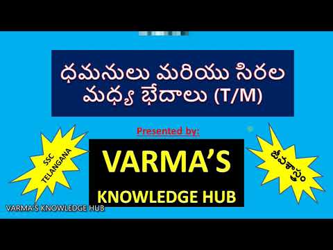 ధమనులు, సిరల మధ్య భేదాలు || Differece between arteries and veins || Telangana SSC || Telugu medium