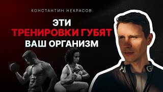 видео: Осознанный фитнес: как подобрать упражнения, которые пойдут на пользу организму, а не во вред картинка: Осознанный фитнес: как подобрать упражнения, которые пойдут на пользу организму, а не во вред