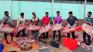 Worlds Largest Mutton Haleem Making In India | Goat Haleem Recipe | Pista House Lamb  Haleem Making