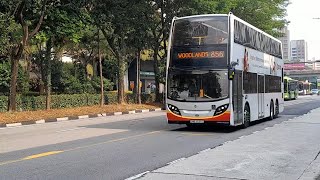 (OCBC Full Body Advertisement) SMB3530C(MDDEP) On Service 856 At Yishun Avenue 2
