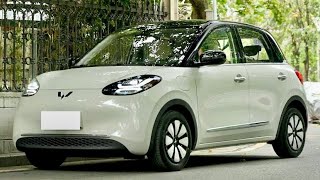 2023 Wuling Bingo - Mini EV 333Km