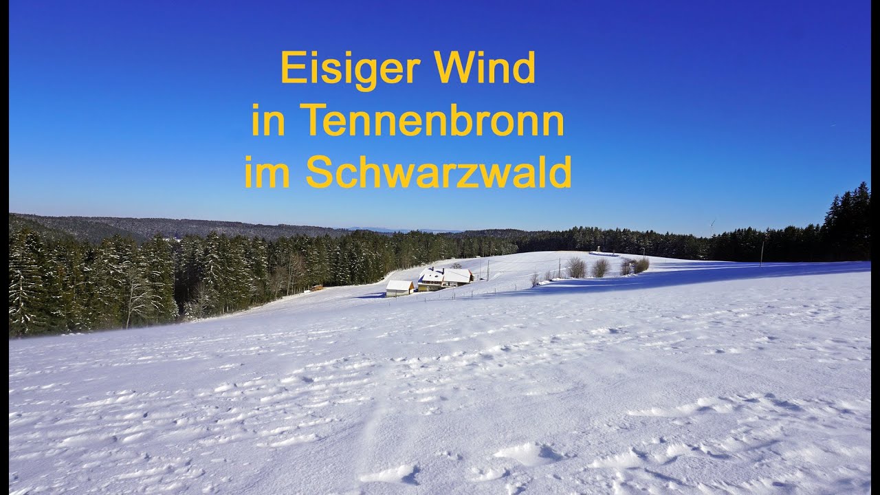 Eisiger Wind in Tennenbronn im mittleren Schwarzwald - YouTube