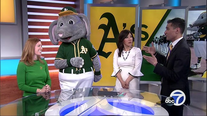 A's Mascot Stomper Takes On Spelling Bee Challenge 