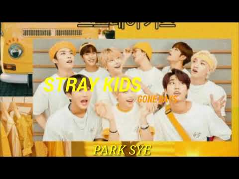 Mixtape: Gone Days~ Stray Kids (Traducción al Español)