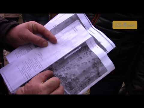 მარტვილში მოსახლეობა ხეების ჭრას აპროტესტებს