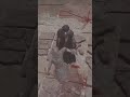Epic Stalemate (Cleanest Backstab of my Life) - Elden Ring PvP #eldenring #pvp #epic