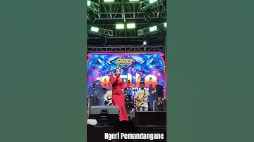 DIFARINA INDRA - SABAR - LIVE SELOREJO - ADELLA #omadella #difarinaindra #story #shortvideo