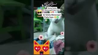 #reels #moments #kucing #bucin #kepada #manusia #jenaka #caption #shortvideo #shorts