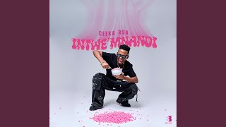 iY' Ndaba Zayizolo (feat. LeeMcKrazy, Tyler ICU & Cowboii)