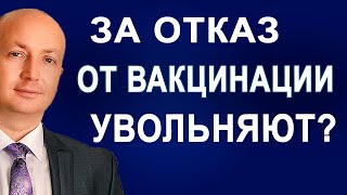 Имеют ли право уволить с работы за отказ от вакцинации. Адвокат Романов