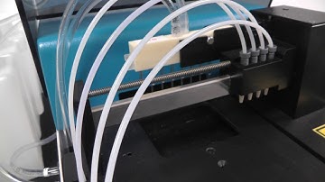 Automation of the Enzo APP ∆C31 ELISA kit with Crocodile miniWorkstation