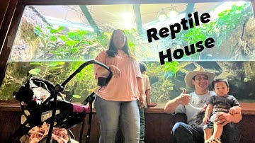 Fresno Chaffee Zoo |Reptile House|