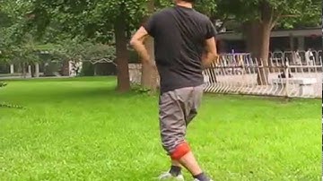 Master Han Yan Wu - Liu He Tang Lang - Jie Shou Quan