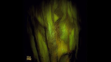 Gamma Intel - Node ‐ Time Loop EP - [NC012] - 2025