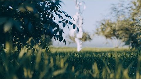 Hakushi Hasegawa - Boy