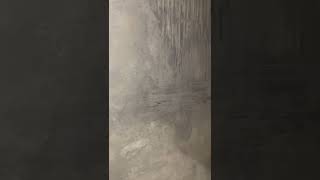 Istinto Giorgio Graesan