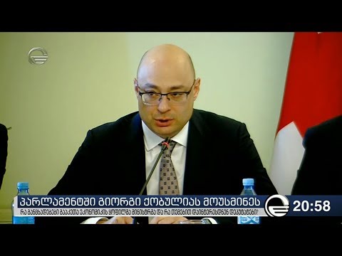პარლამენტში გიორგი ქობულიას მოუსმინეს