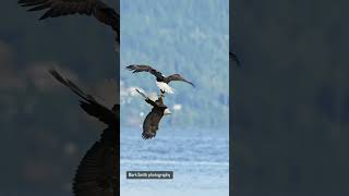 Mark smith ultimate photography