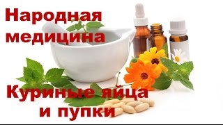Лечение куриным яйцом и пупками Лечение куриным яйцом и пупками