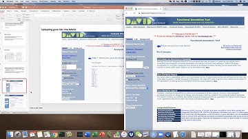 B4B: Module 4 - Functional Analysis - DAVID (hands on)