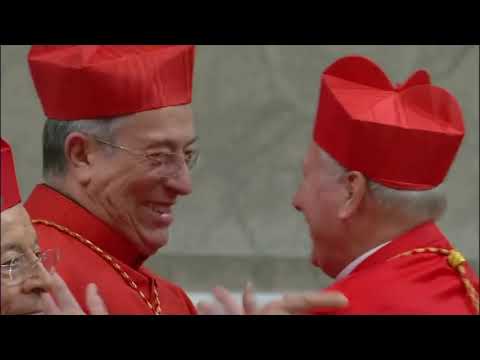 Video: Che cos'è la dottrina cardinale?