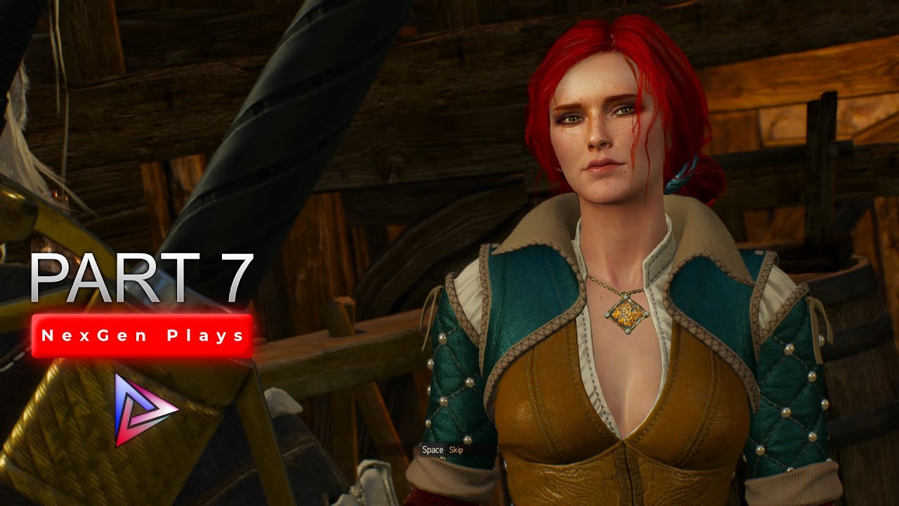 A favor for an old friend || Witcher 3 Wild Hunt