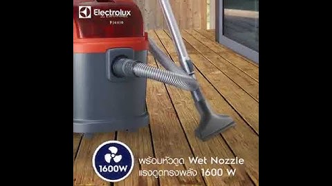 Máy hút bụi electrolux z931 đánh giá năm 2024