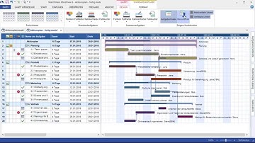 MindView 6 - Projektmanagement