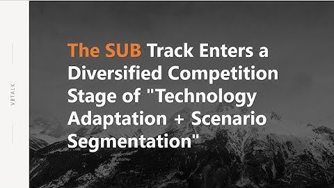 Track Enters a Diversified Competition Stage of "Technology Adaptation + Scenario Segmentation"