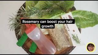 MY ROSEMARY PLANT, I GOT YOU...Small Leaves, Big Growth Energy
