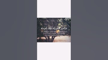 #سورة_الطور #quran #اكسبلور #المصحف #لايك #قرآن #اسلام_صبحي #ترند
