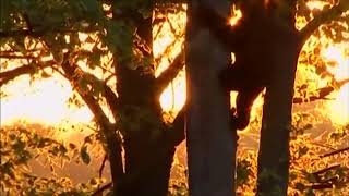 ❤🌹😘Weekend plăcut! 😘🌹❤