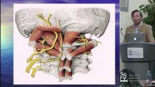 An Anatomical Tour of the Craniocervical Junction