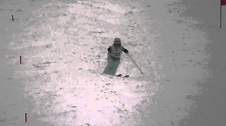 Alicia English - 2014 FIS Nor-AM - Stratton - Dual...