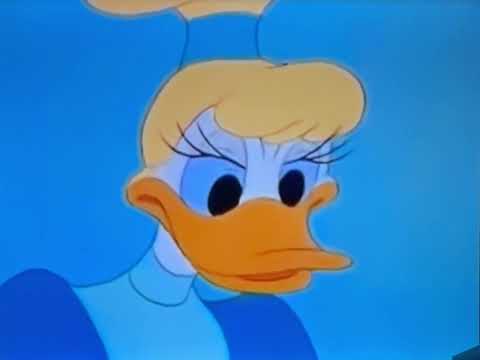 Donald Duck Crazy Over Daisy 1950 Final Part Youtube