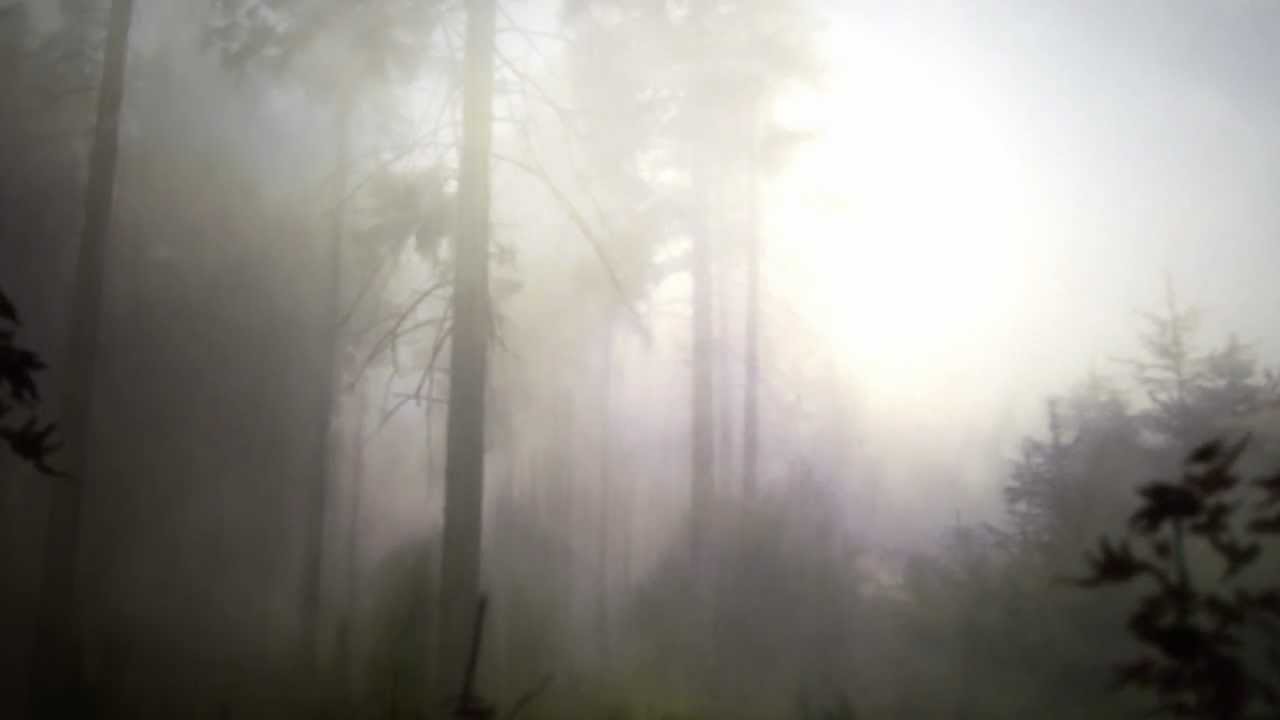 j'ai mal à la tête -- autumn/winter 2012/13