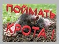 Кротоловка из трубы своими руками! ( как поймать крота?)